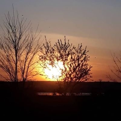 fatihkr2525's profile picture. #KatılımEndeks
#XU100
@Mto