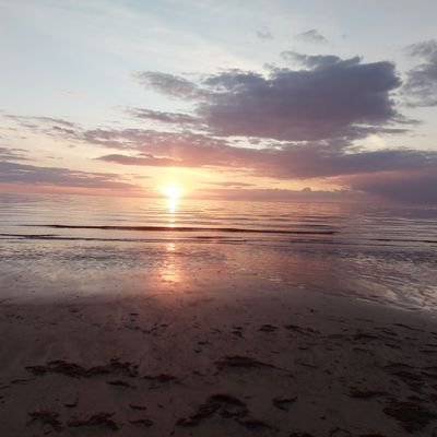 OliviaSol11's profile picture. 