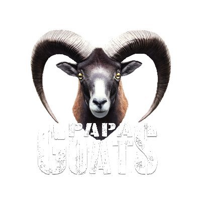 we play the games
twitch affiliate https://t.co/ImEt0n1TQR
we love ya long time