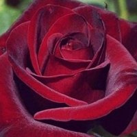 HELLO (@hellotofriend) 's Twitter Profile Photo HELLO (@hellotofriend) 's Twitter Profile Photo