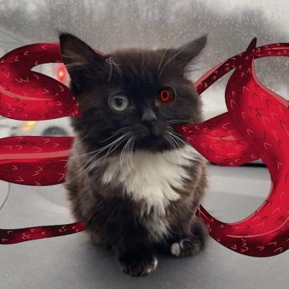 itchiedPLAYmc's profile picture. я дед инсайд 😈🤣✊