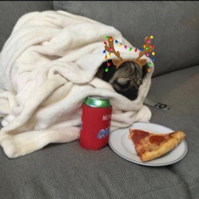 lilyasmr's profile picture. paywalled account | big fan @tacobelldurant @uilylime