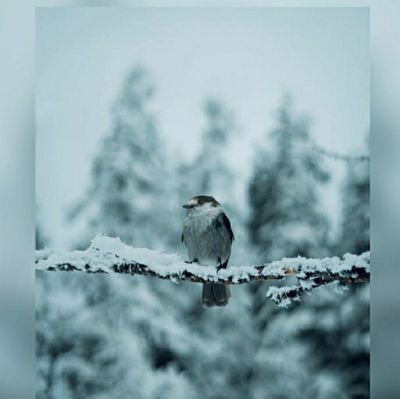 Said22809710's profile picture. 