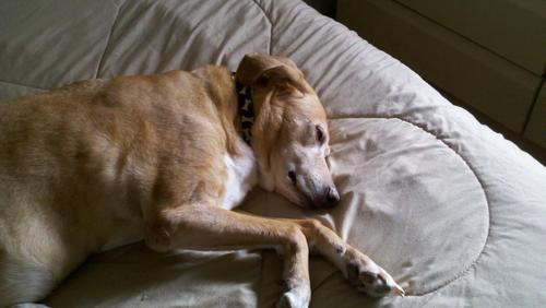 dwcnj's profile picture. 