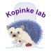 Daniel Kopinke (@kopinkelab) Twitter profile photo Daniel Kopinke (@kopinkelab) Twitter profile photo