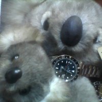 ばつぐん (@kmpsitggpjgvyx0) Twitter profile photo