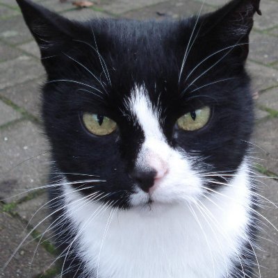 TraxWalter's profile picture. 