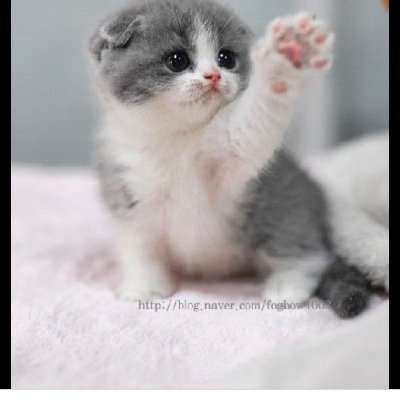 MryMyla's profile picture. Im 14 I.  Dance I cheer Roblox name Babygirljamyla  I have. Big brother's