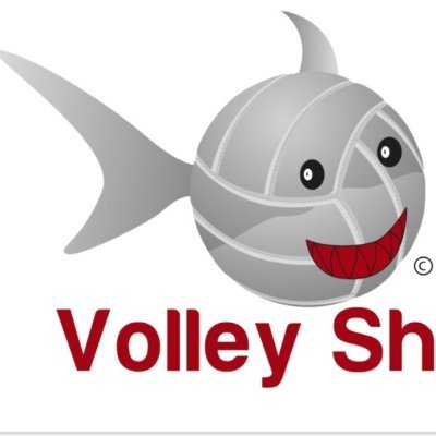 Volley Shark 🏐