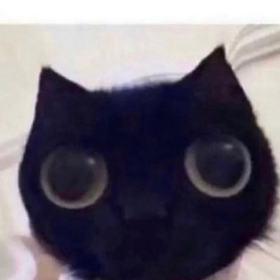 Diianaaall's profile picture. 