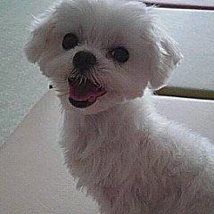 kyousuke_9999's profile picture. コスプレ・モデル撮影分は@kyousuke_5555
スナップ・ポートレート撮影分は@kyousuke_3333へ分離
オリジナル壁紙配布。
修正等はご自由に。　ただし再配布ＮＧ。
ポートレート・スナップ・紫外線励起蛍光撮影・ヌード等を普段撮影。