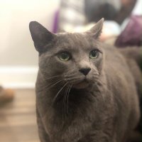 Jerry (@joe20885855) 's Twitter Profile