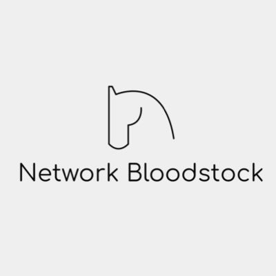 Network Bloodstock