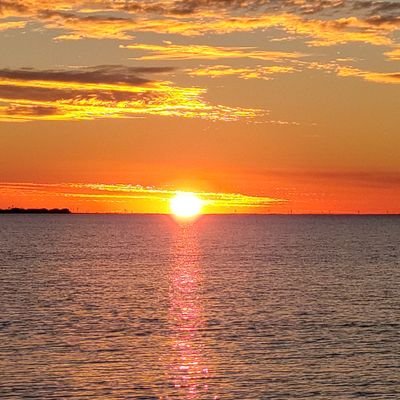 Happy_Bradley's profile picture. I can talk music all day