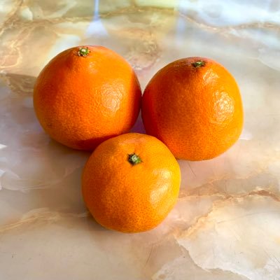 のそさんのプロフィール画像