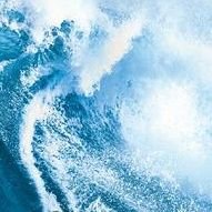 neco_0130's profile picture. I want to watch Simon Baker's movie without subtitles／Vijay Sethupathi／Tom Cruise／Takumi Kitamura／Norimasa Fuke／Evgeny Khmara🎶https://t.co/EBeL6KadYJ