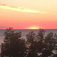 sarēn (@tootskelat) 's Twitter Profile