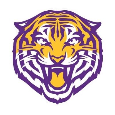 lsuteam25's profile picture. GEAUX TIGERS