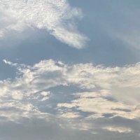 セラ🍂 (@a_42ton) 's Twitter Profile