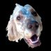 Quills (@quillszz) Twitter profile photo Quills (@quillszz) Twitter profile photo