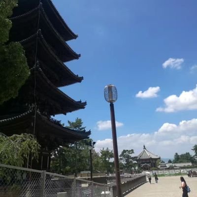 Cssong333's profile picture. 逛逛