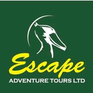 Tour Operator based in Uganda specialized in wildlife safaris in Kenya , Rwanda , Tanzania and the island of Zanzibar. Email: escapeadventuretours@gmail.com.