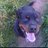 simon15376's profile image