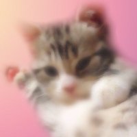 金剛改 弍式 (@kongou_kai_2) 's Twitter Profile