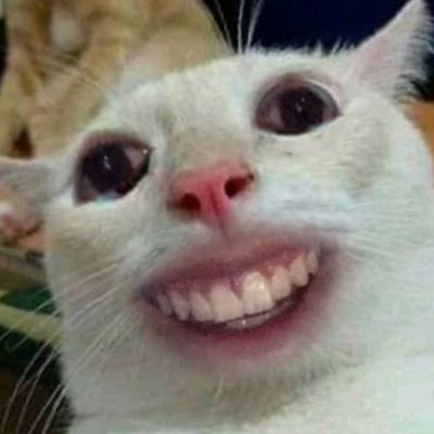 Adrin15810221's profile picture. ooga booga