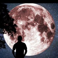 þ7Я ツ (@b7ro__0) 's Twitter Profile
