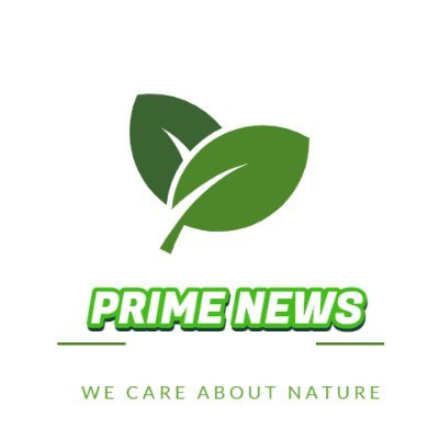 PRIME NEWS Profile
