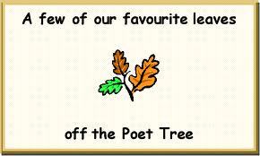 Poetry as Important Part of the Wedding - Reading poems during a wedding can enhance the beauty of the event.