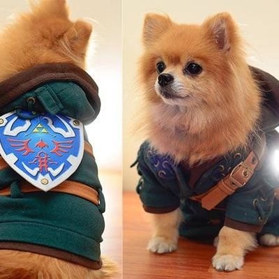 ElMessi88's profile picture. 