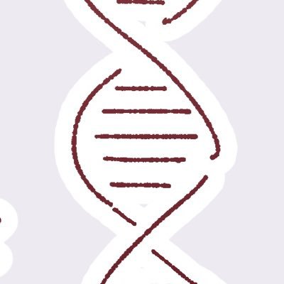 スミノさんのプロフィール画像