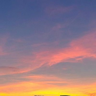 Taylorstanaxx's profile picture. 