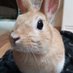 JH0MAQ (@jh0maq) Twitter profile photo JH0MAQ (@jh0maq) Twitter profile photo