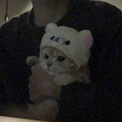 nai_just_cries's profile picture. just your average cat lover ♡
neo | nai | nino