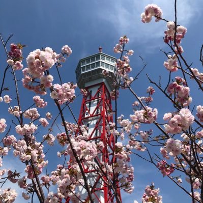 博多に住んでる主婦 。食べる事と呑むこと旅と♨️がスキ。 日々の色々、時に投資関連呟きます めちゃ手のかかる夫と老犬との暮らし。 #博多のおばちゃんねるの中の人 エロ系のアカ、フォローお断り！ #福岡移住 #福岡グルメ #博多グルメ