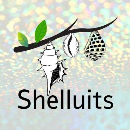 Shelluits(シェルーツ) 『貝殻の実』🐚…【個性派ファッション💫インポートセレクトショップオーナー☺️🍀】こちらではかしこまりすぎず等身大でいこうと思ってます❣️たまにショップのことや頭の中をつぶやいていきます。✌️😊