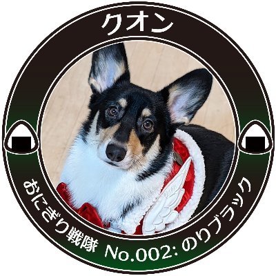 2020/4/13生まれのウェルシュコーギー・ペンブローク「クオンさん」(♀)の写真を、かいぬし(主にかあちゃん)が撮ってはネットの海に放流したり備忘録的なアカウント。
先代コーギーは「アユキさん」(2019/1/5に13歳で虹の橋へ)。
デオキシス(生活フォルム)→@0386_deoxys