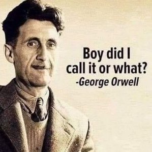 mrosariolago's profile picture. 