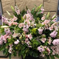 Battsetseg (@chbaagii07) 's Twitter Profile