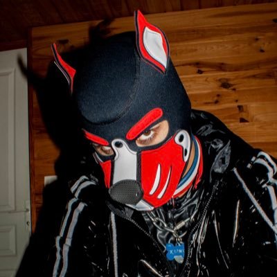 Pup Kumoさんのプロフィール画像