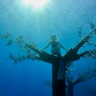 korytsya's profile picture. 