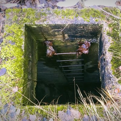 Brav00scar's profile picture. 