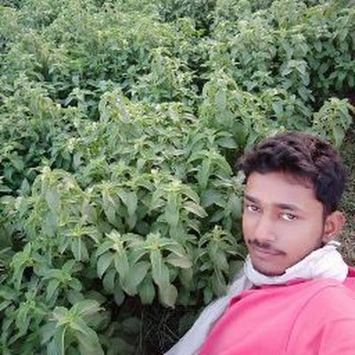 PravinR29862101's profile picture. 