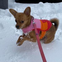 Emily Stockman (@tiggerroo22) 's Twitter Profile