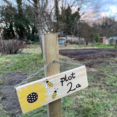 First year of having an allotment in 2022.