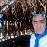hamid ardanizadeh (@ardanizadeh) 's Twitter Profile