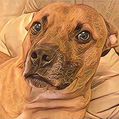 BillyBeefChops's profile picture. Eat Game Sleep Repeat